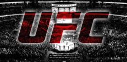 Why UFC Streams Have Become Essential for Modern MMA Fans